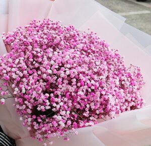 grand opening / congratulatory arrangement