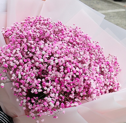 1005Z grand opening / congratulatory arrangement