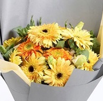 white roses & daisy bouquet