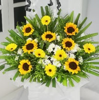 hot air balloon flower and chocolate box