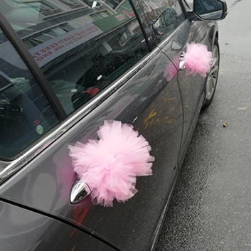 DoEImageDisplay (6)2