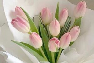 tulip bouquet malaysia