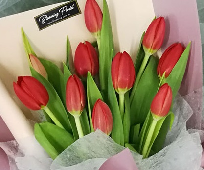 Get The Delivery of Tulip Bouquet in Malaysia tulip malaysia