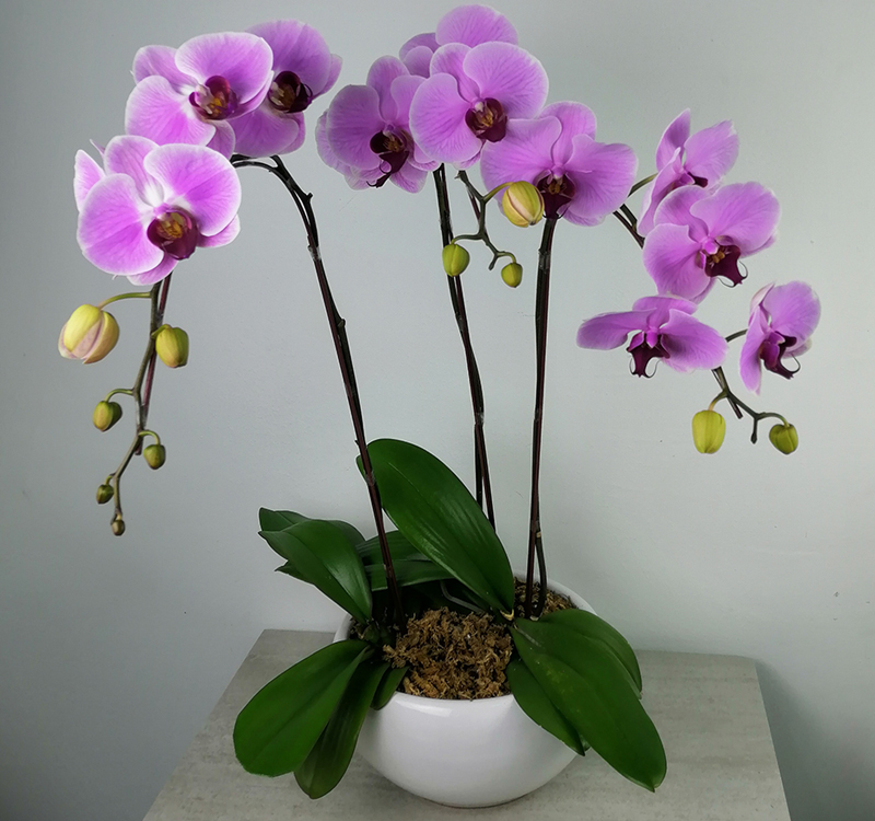 cny flower decoration