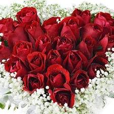 white baby breath in a basket