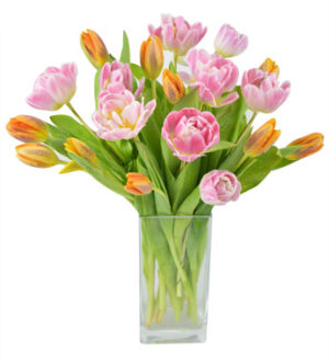 tulip bouquet malaysia