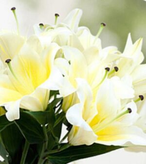 Flower Delivery Malaysia