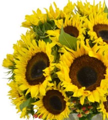 hydrangea hand bouquet