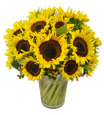 VA3002 red roses and hydrangea table arrangement