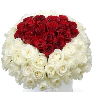 Pink and White Lilies