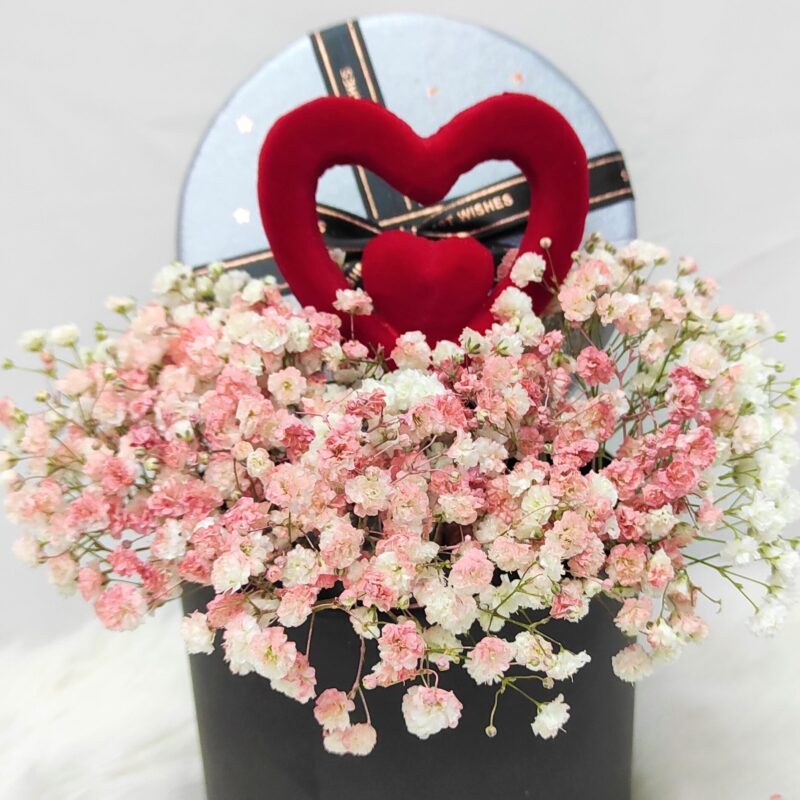 Pink baby breath arranged in a box