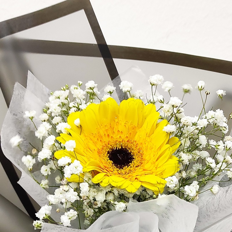 HD0102A single rose bouquet