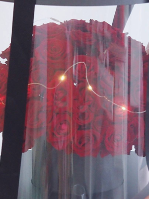 100 roses box arrangement