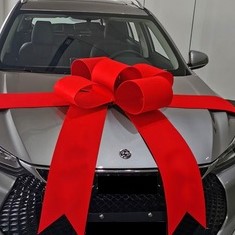 wedding car decoration