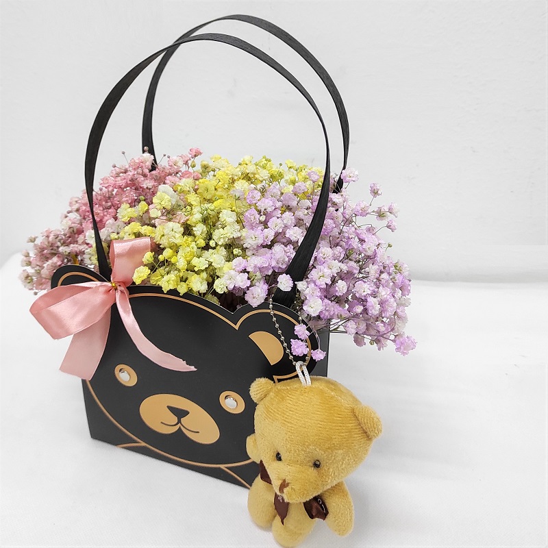 VDB017A rainbow baby breath box