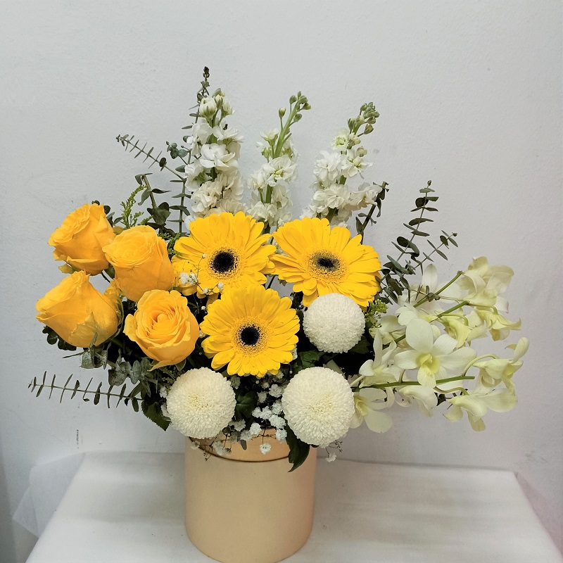 BA005_gebera_pingpong_box