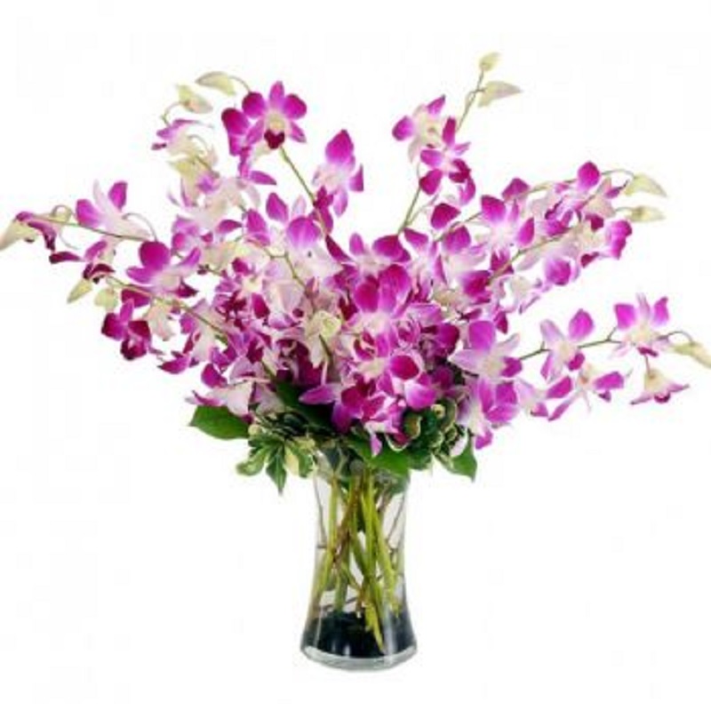 VA1019_DENDROBIUM_ORCHID_VASE