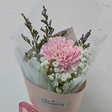 HCP0100_1CARNATION-1