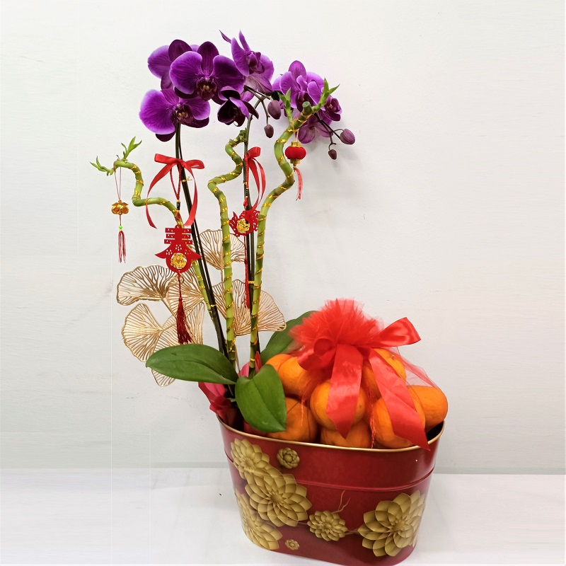 CNYF201A_ORCHID_LUCKY_BAMBOO_ORANGE