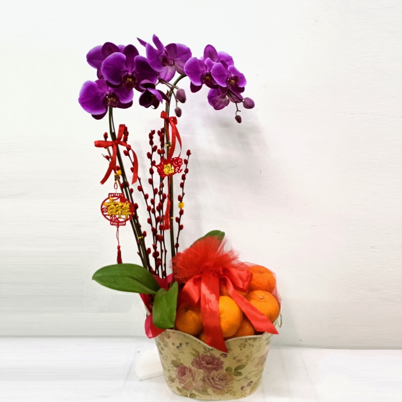 CNYF202A_ORCHID_PUSSYWILLOW_ORANGE