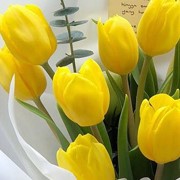 tulip_yellow