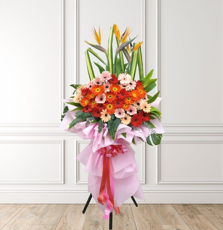 SX1031A_CONGRATULATORY_OPENING_FLOWER