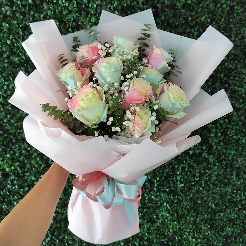 HR1005_ECUAFOR_RAINBOW_ROSE