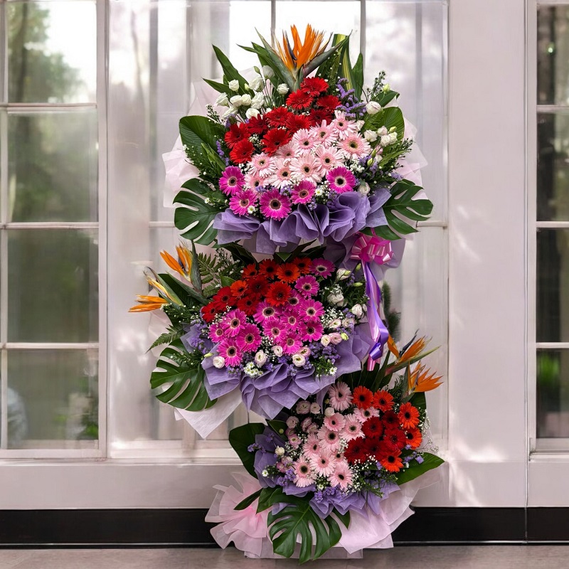 SA3002_CONGRATULATORY_FLOWER