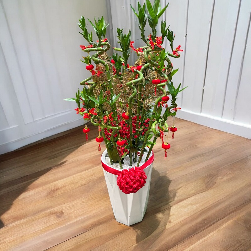 CNYF102_LUCKY_BAMBOO