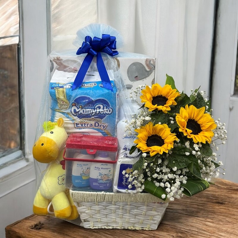 NB3002_NEWBORN_HAMPER